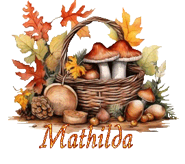 automne-25109