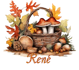automne-25109