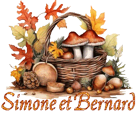 automne-25109