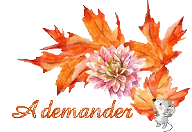 automne-23120