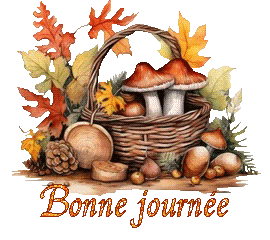 automne-25109