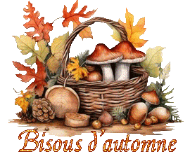 automne-25109
