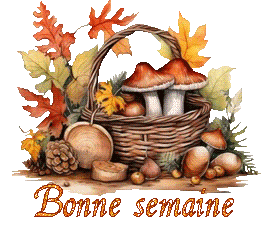 automne-25109