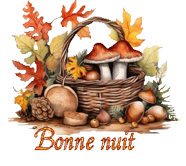 automne-25109