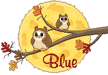hibou-aut21098