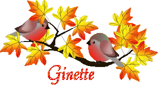 bird-23107