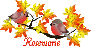 bird-23107