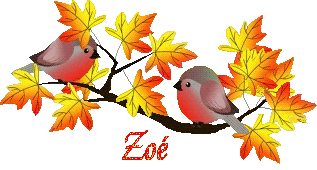 bird-23107