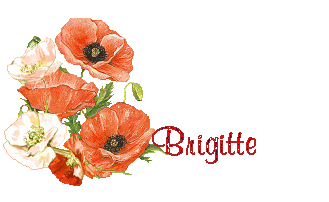 coquelicot 1
