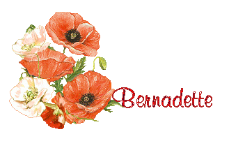 coquelicot 1