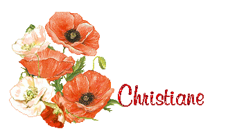 coquelicot 1
