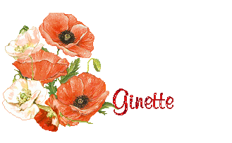 coquelicot 1