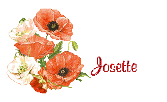 coquelicot 1