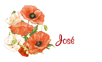 coquelicot 1