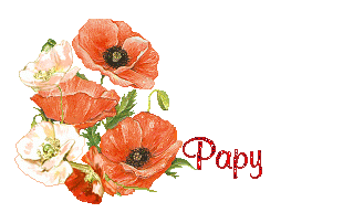 coquelicot 1