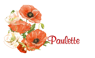 coquelicot 1