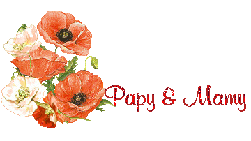 coquelicot 1