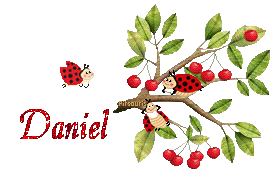 cerises2080