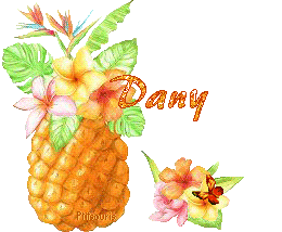 ananas2081