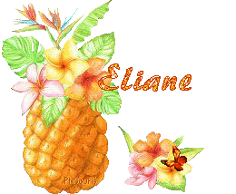 ananas2081