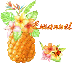 ananas2081