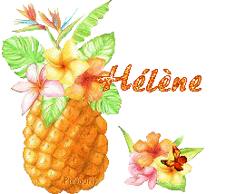 ananas2081