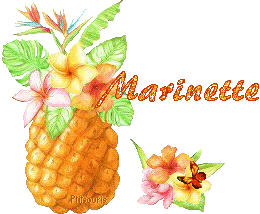 ananas2081