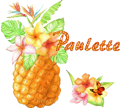ananas2081
