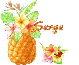 ananas2081