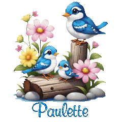 26046