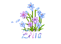 KAWAII2064