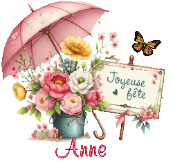 26048