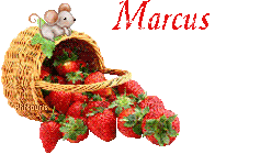 fraises-21069