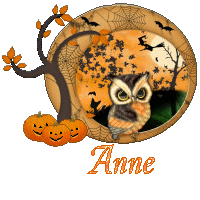 hibou 23113