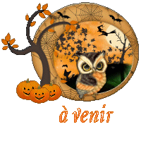 hibou 23113